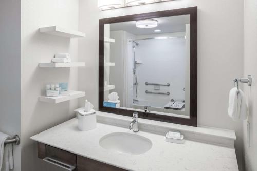 a bathroom with a sink and a large mirror at Hampton Inn & Suites by Hilton Atlanta Perimeter Dunwoody in Atlanta