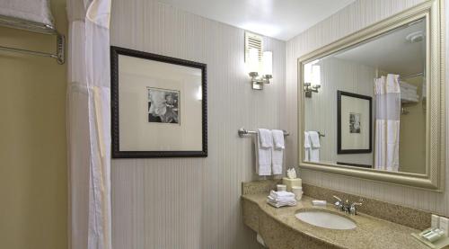 a bathroom with a sink and a mirror at Hilton Garden Inn Auburn/Opelika in Auburn