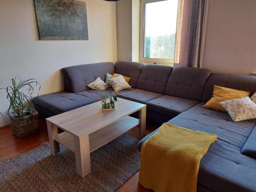 a living room with a blue couch and a coffee table at Wildkraut's Kräuter- und Alpakabauernhof in Kremsmünster