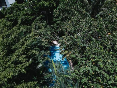 a blue vase surrounded by trees and plants at Hotel Casa Barbara Holbox in Holbox Island