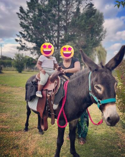 une femme et un enfant se déplaçant à l'arrière d'un âne dans l'établissement Equizen33 maison zen et ressourçante, à Saint-Mariens