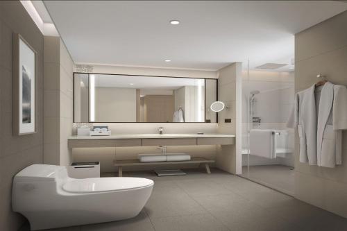 九寨溝的住宿－九寨沟万怡酒店，一间带卫生间、水槽和镜子的浴室
