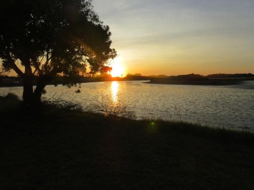 una puesta de sol sobre un cuerpo de agua con un árbol en COMPLEJO LA ISLA MAR CHIQUITA en Balneario Mar Chiquita