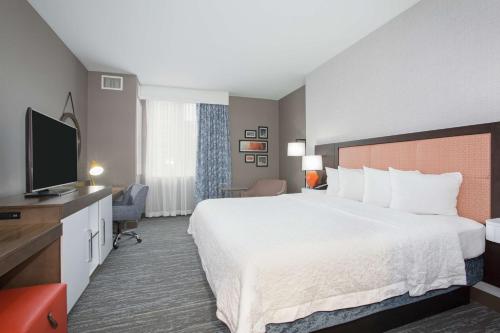 Hampton Inn & Suites Denver-Downtown Image