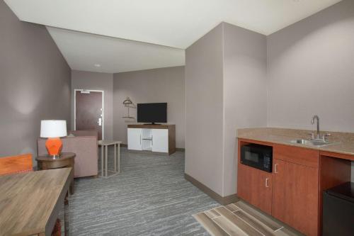 Télévision ou salle de divertissement dans l'établissement Hampton Inn & Suites Denver-Downtown