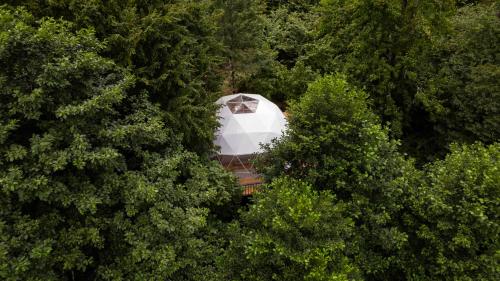 an white umbrella in the middle of some trees at Loft inn in Makhunts'et'i