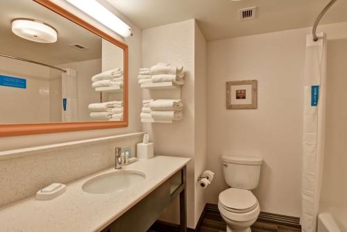 a bathroom with a sink and a toilet and a mirror at Hampton Inn Atlanta Kennesaw in Kennesaw