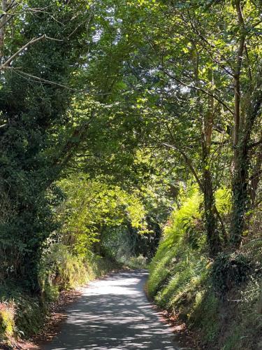 a road with trees on the sides of it at Villa Tité in Oviedo