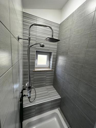 een badkamer met een douche en een bad bij Apartment Stinjan in Pula