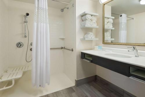 Hampton Inn & Suites Tampa Airport Avion Park Westshore في تامبا: حمام مع دش ومغسلة ومرآة