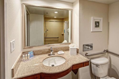 a bathroom with a sink and a toilet and a mirror at Hampton Inn Charlotte/Matthews in Charlotte