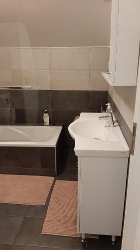 Apartman Mibel في زغرب: حمام مع حوض وحوض استحمام