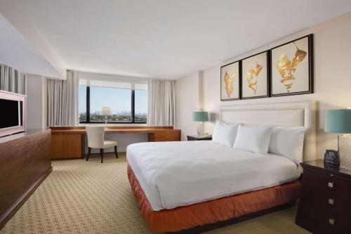 Hilton Miami Airport Blue Lagoon Image