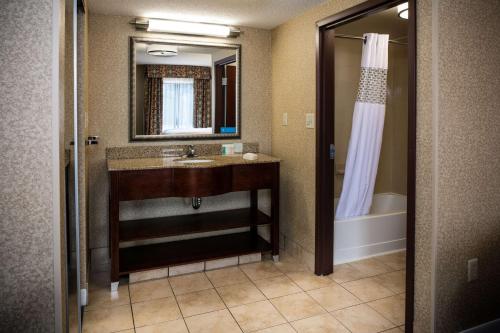 a bathroom with a sink and a mirror and a tub at Hampton Inn & Suites Toledo-Perrysburg in Rossford