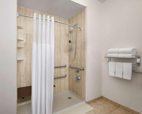 y baño con ducha y cortina de ducha. en Hampton Inn & Suites Tulsa South Bixby, en Tulsa