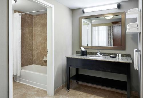 a bathroom with a sink and a tub and a mirror at Hampton Inn & Suites Mt. Prospect in Mount Prospect