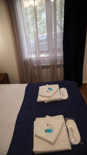  Old Byurakan Gouest House -  Room  picture :   Tea/Coffee maker    Shower    Hairdryer                           