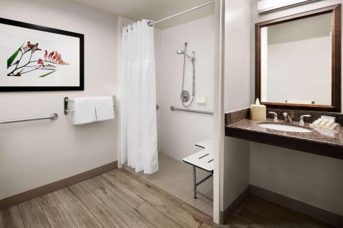 a bathroom with a sink and a mirror at Hilton Garden Inn Denver South Park Meadows Area in Centennial