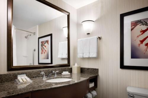 a bathroom with a sink and a mirror and a toilet at Hilton Garden Inn Denver South Park Meadows Area in Centennial