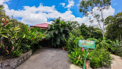 a driveway leading to a house in a garden at Bungalows Las Iguanas Arenal Volcano in Fortuna