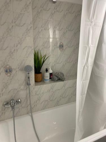 2 BD Top Floor Aprt with Acropolis view
