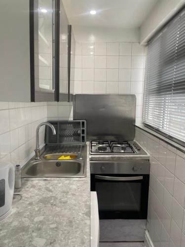 uma cozinha com um lavatório e um fogão em Newly renovated studio in Acton em Londres