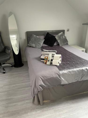 um quarto com uma cama com duas câmaras em Newly renovated studio in Acton em Londres