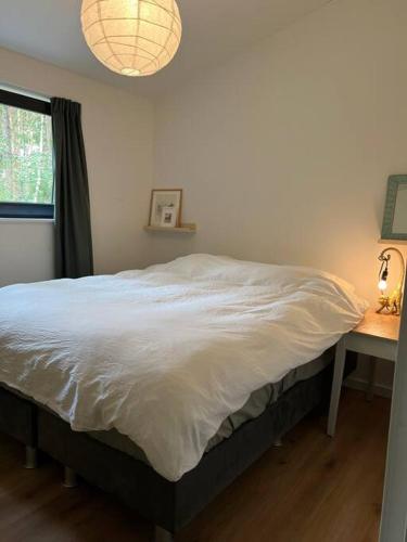a bedroom with a bed and a desk with a lamp at Heerlijk familiehuis in het bos in Giethmen