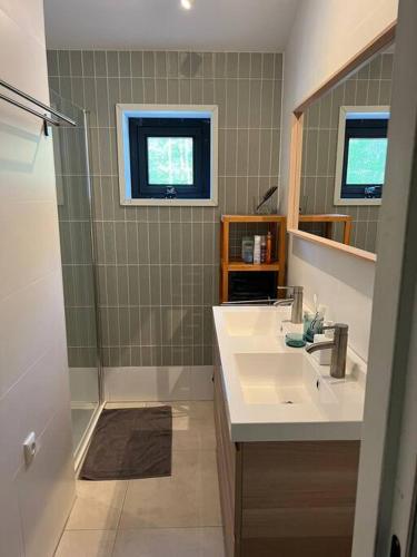 a bathroom with a sink and a shower at Heerlijk familiehuis in het bos in Giethmen