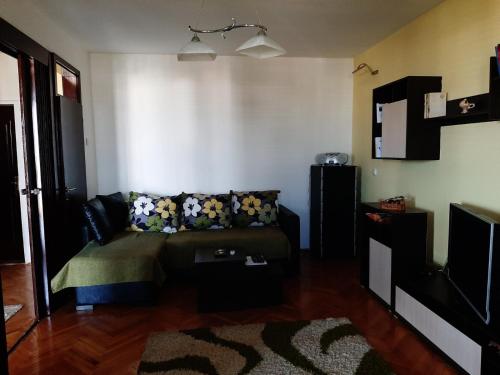 ein Wohnzimmer mit einem Sofa und einem TV in der Unterkunft Apartman Sofka in Vranje