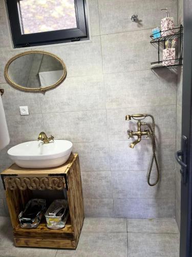 a bathroom with a sink and a mirror at Gudika • გუდიკა in Sno