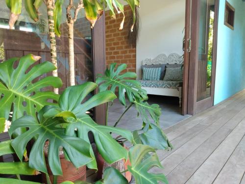 a porch with plants and a couch on a porch at Pousada Vila Guyrá in Florianópolis