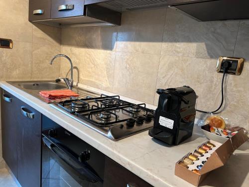 Carpegna Luxury apt with terrace