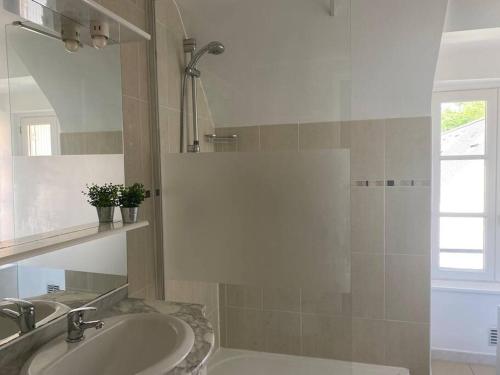 a bathroom with a sink and a shower at *La Factory / Saint Aignan in Saint-Aignan