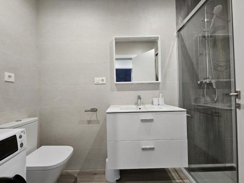 a bathroom with a toilet and a sink and a shower at 1A105 Precioso apartamento en zona exclusiva in Gijón