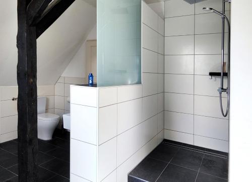 uma casa de banho com um chuveiro e um WC. em Idyllisches Selfkant erleben em Heinsberg