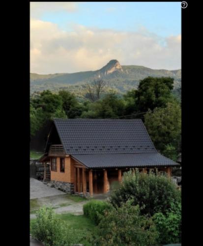 a house with a roof with a mountain in the background at Casa de Lemn Maramures in Mara