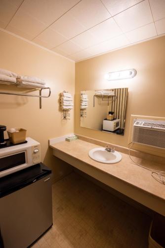 a bathroom with a sink and a microwave at North Winds Motel in Mackinaw City