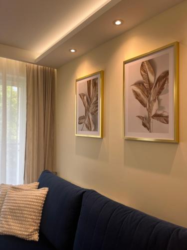 a blue couch in a living room with two pictures on the wall at Apartament Chabrowy ( centrum, garaż ) in Kielce