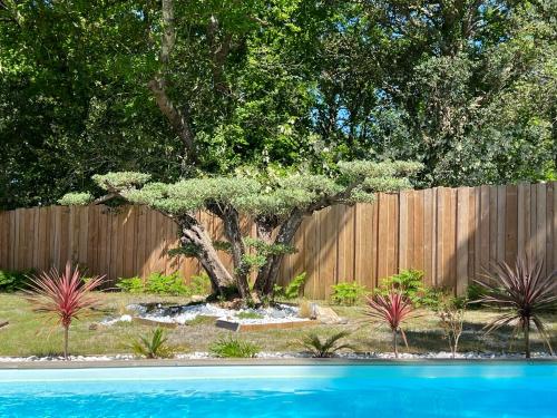 un arbre dans une cour à côté d'une clôture dans l'établissement Villa du Bois de la Fontaine, 4 étoiles, avec grande piscine privée, à Moliets-et-Maa