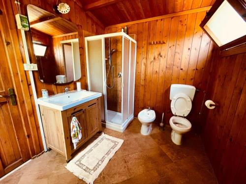 因帕拉的住宿－Il trullo di Rosa，浴室配有卫生间、淋浴和盥洗盆。