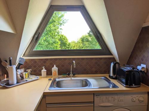 una cocina con fregadero y una ventana por encima. en Appartement Le Louis Dort au calme, en Équemauville