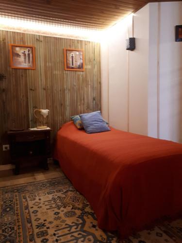 a bedroom with a bed with a blue pillow on it at la maison de Juliette En bas in Lascabanes
