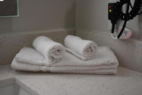 two towels sitting on top of a bath tub at Blue Star Inn in Houston