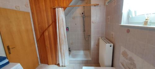 a bathroom with a shower and a toilet at Apartment Popp Langen in Langen