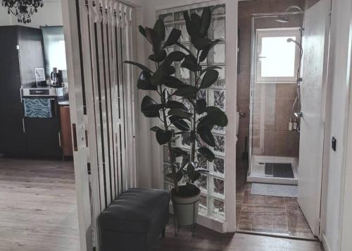 een potplant in een hal naast een badkamer bij Stay In Cascais cosy apartment in Cascais