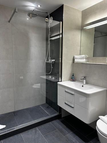 a bathroom with a shower and a sink and a toilet at Appartementhaus Birkenwald in Seefeld in Tirol