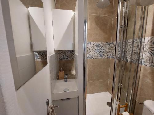 une salle de bain avec douche et lavabo dans l'établissement Studio Notre Dame - Terrasse & Clim, à Marseille