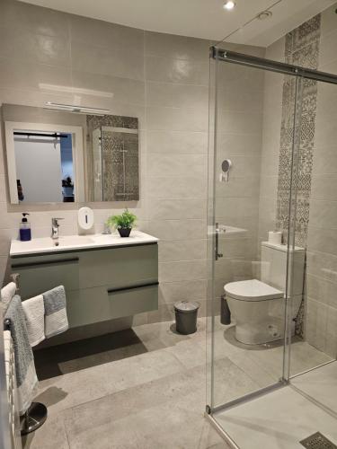 een badkamer met een douche, een wastafel en een toilet bij Loft17 in Burgos