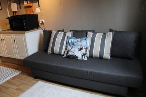 a couch with pillows with a cat sitting on it at Stóri-Bakki, cottage Dvergabakki in Stóri-Bakki